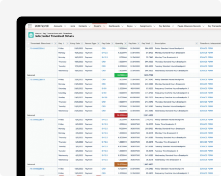 2c9 Timesheet Payroll